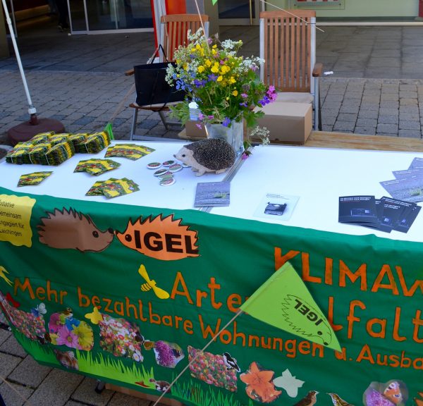 Impressionen vom Wahlkampf auf dem Wochenmarkt am Samstag, 18.05.19